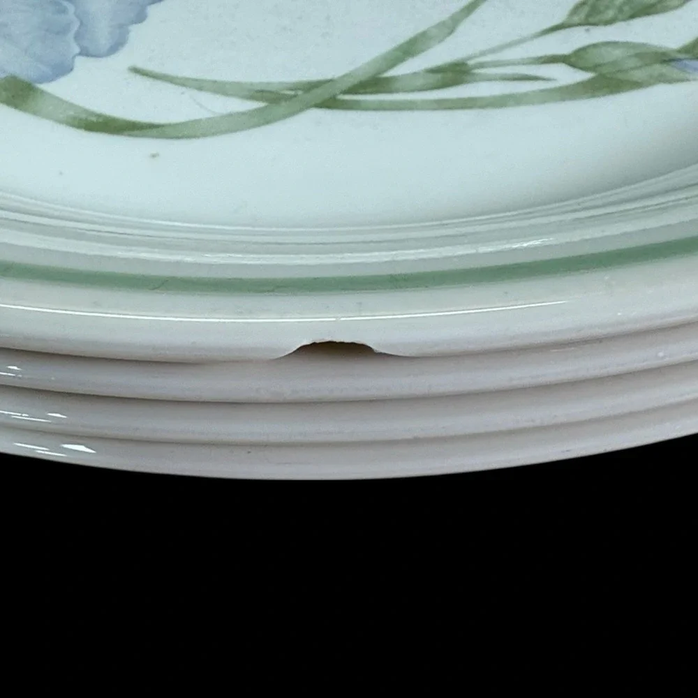 Corelle Cornerstone‎ IRIS Dinner Plates 10 1/4